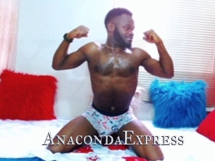 AnacondaExpress