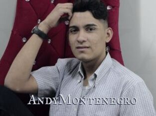 AndyMontenegro