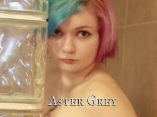 Aster_Grey