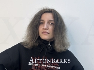 Aftonbarks