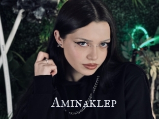 Aminaklep