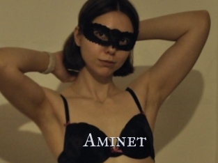 Aminet