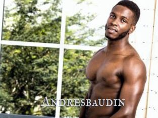 Andresbaudin