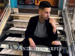 Andresescarpia