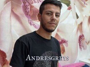 Andresgreys