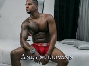 Andy_sullivann