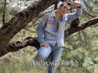 Andysgeert