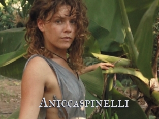 Aniccaspinelli