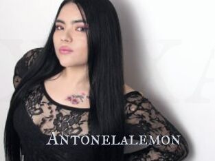 Antonelalemon