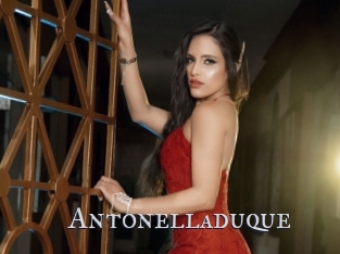 Antonelladuque