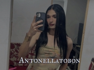 Antonellatobon