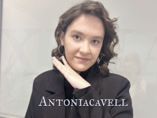 Antoniacavell