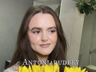 Antoniadudley