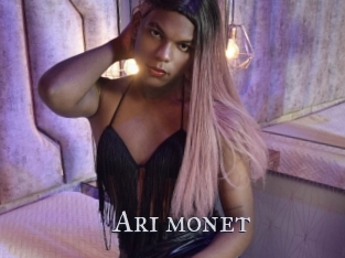 Ari_monet