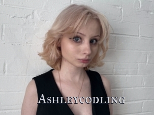 Ashleycodling