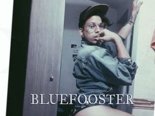 BLUEFOOSTER