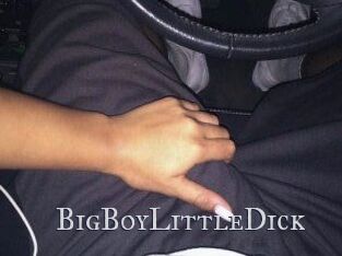 BigBoyLittleDick