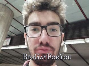 BigGayForYou