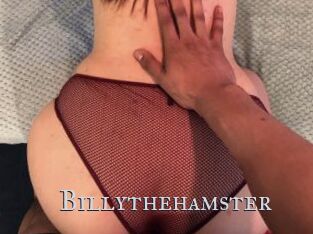 Billythehamster