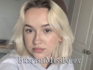 BritishMissPoppy