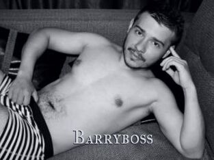 Barryboss