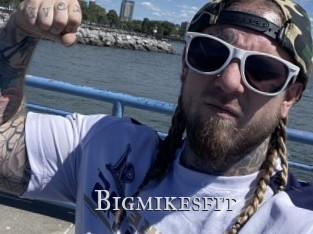 Bigmikesfit