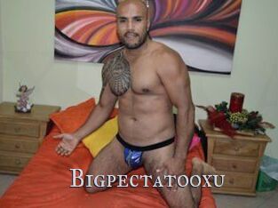 Bigpectatooxu