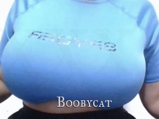 Boobycat