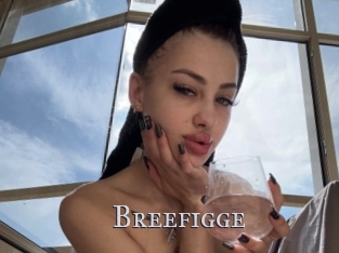 Breefigge