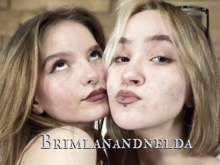 Brimlanandnelda