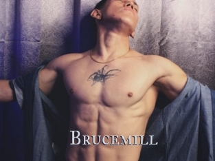 Brucemill