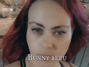 Bunny_bleu