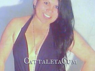 CattaleyaCum