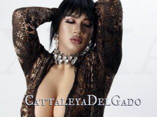 CattaleyaDelGado