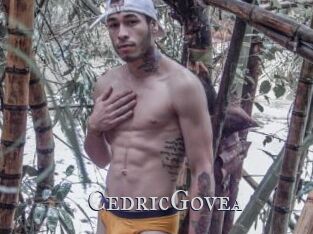 CedricGovea