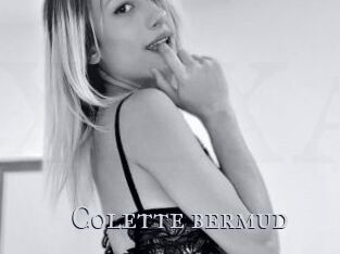 Colette_bermud