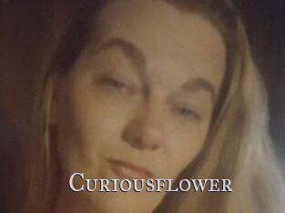 Curiousflower