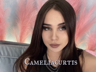 Cameliacurtis