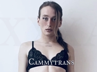 Cammytrans