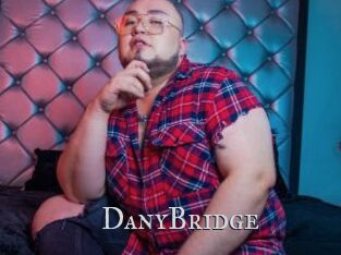 DanyBridge