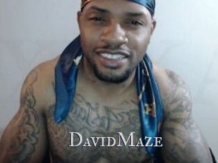 David_Maze