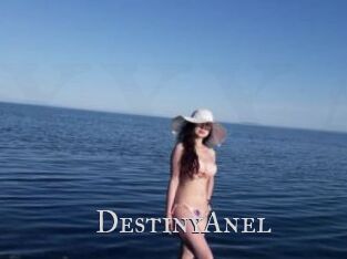 DestinyAnel