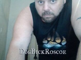 DigBickRoscoe