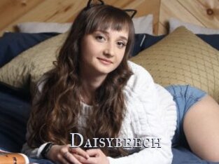 Daisybeech