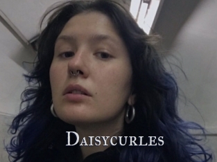 Daisycurles