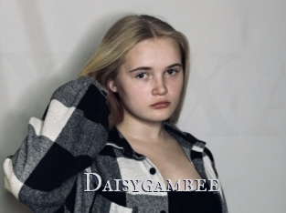 Daisygambee