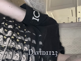 David1123