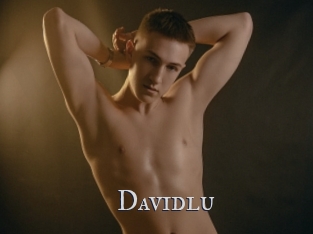 Davidlu