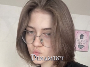 Dinamint