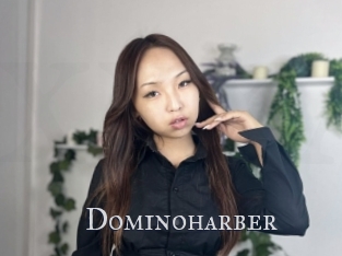 Dominoharber